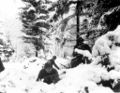 1024px-Battle of the Bulge.jpg